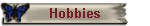Hobbies